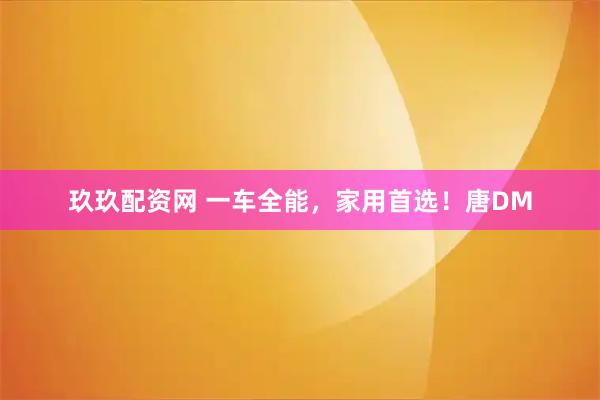 玖玖配资网 一车全能，家用首选！唐DM