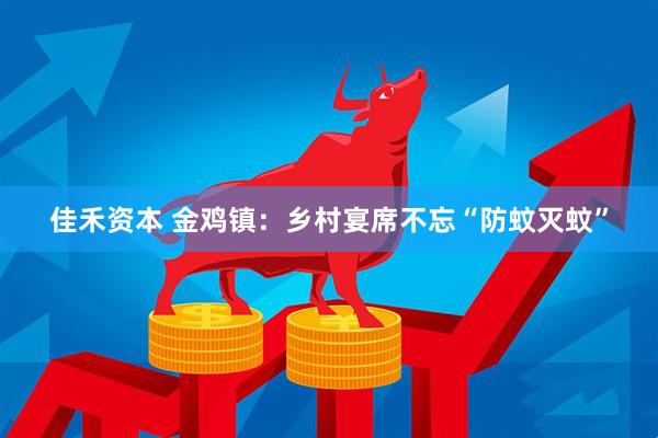 佳禾资本 金鸡镇：乡村宴席不忘“防蚊灭蚊”