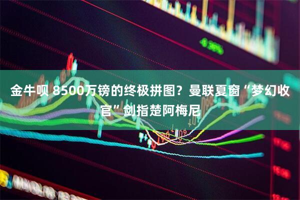 金牛呗 8500万镑的终极拼图？曼联夏窗“梦幻收官”剑指楚阿梅尼